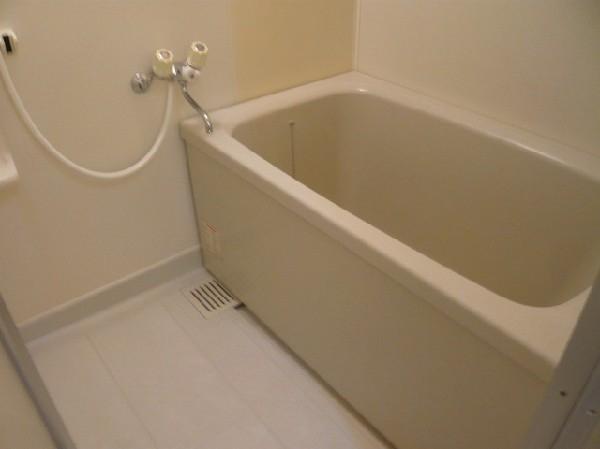 ＥＸＩＶＥＮＥＲＩＭＡ