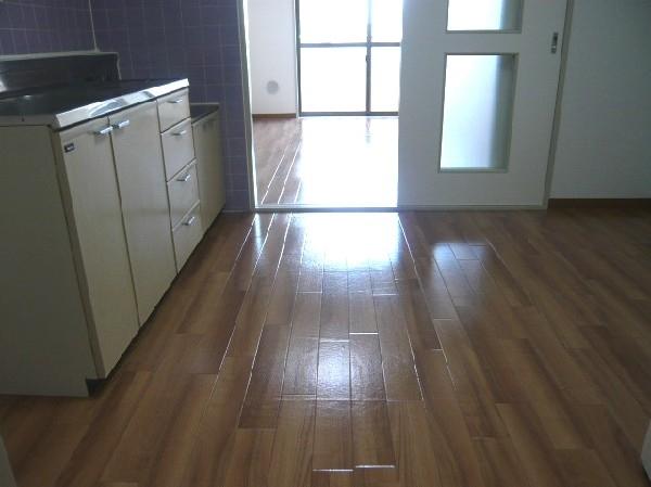 ＥＸＩＶＥＮＥＲＩＭＡ