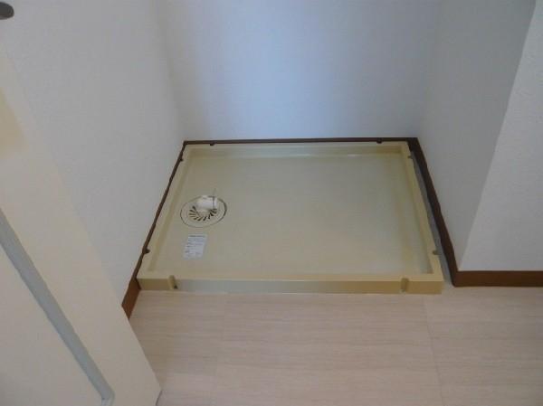 ＥＸＩＶＥＮＥＲＩＭＡ