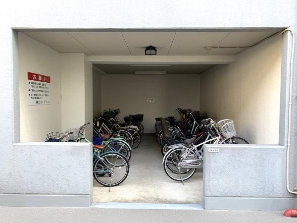 ＥＸＩＶＥＮＥＲＩＭＡ