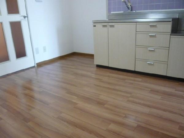 ＥＸＩＶＥＮＥＲＩＭＡ