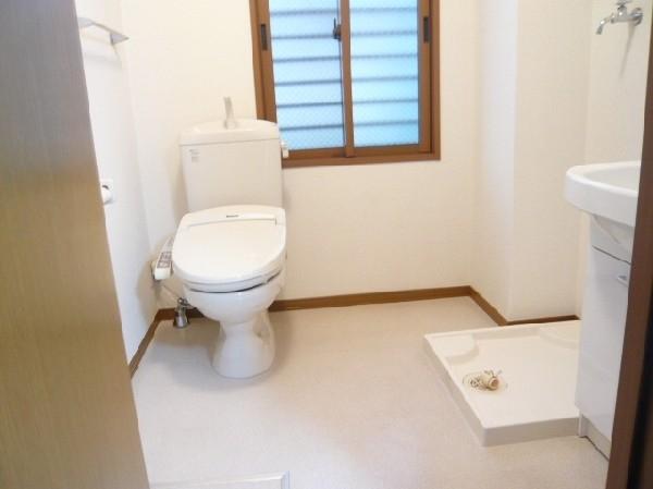 ステラ今川