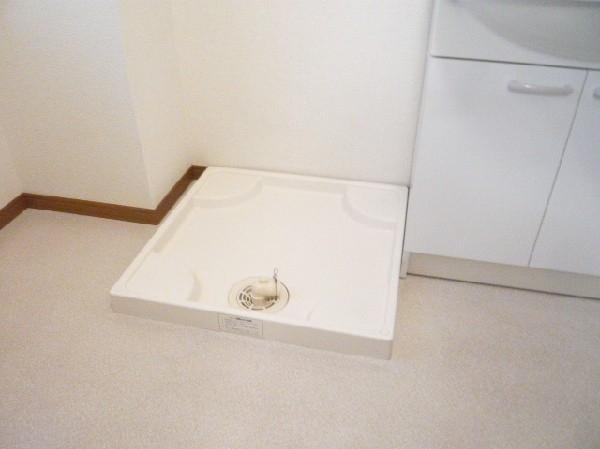 ステラ今川