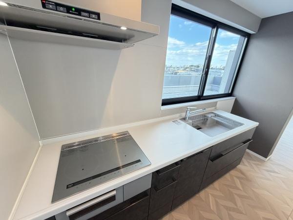 プラチナテラス・ロイロ(キッチン)