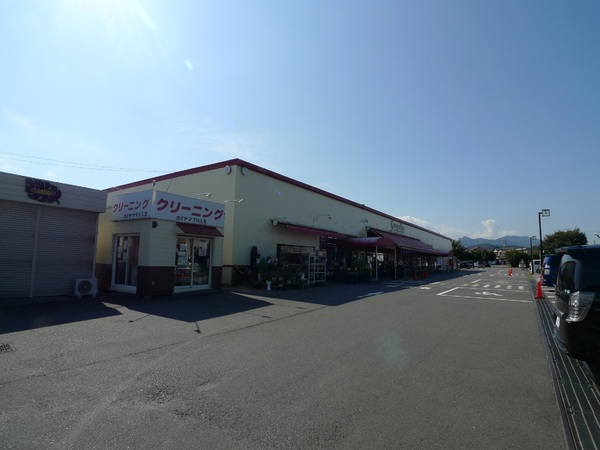 マツノハイツ(スーパーマーケットエスパティオ下川入店)