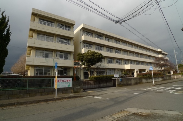 カサブランカ(愛川町立菅原小学校)
