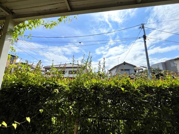 清人ハイム