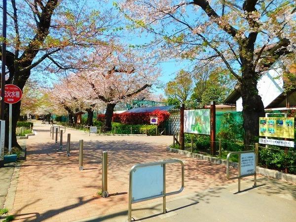 マメゾン羽根木(羽根木公園)