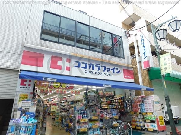 世田谷区松原５丁目のアパート(ココカラファイン東松原店)