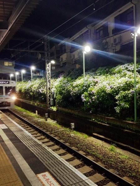世田谷区松原５丁目のマンション(東松原駅(京王井の頭線))