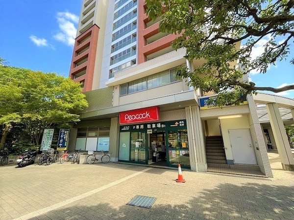 世田谷区若林3丁目のマンション(ピーコックストア三軒茶屋の杜店)