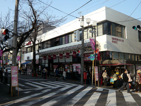 ソシガヤテラスN(成城石井成城店)