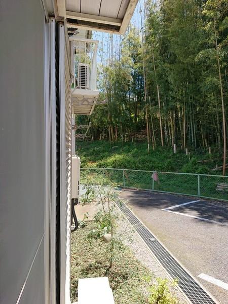 らんがく五番館