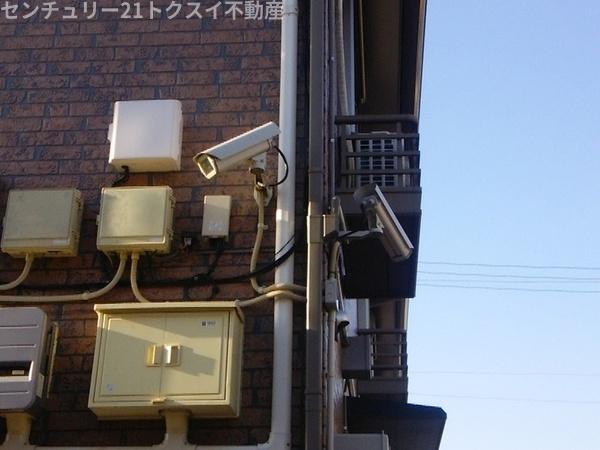 RoyalGarden400&16　D