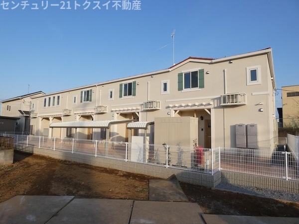 ルピナス