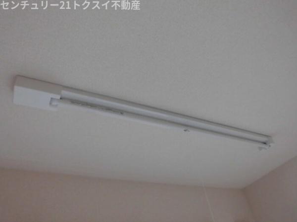 アムール