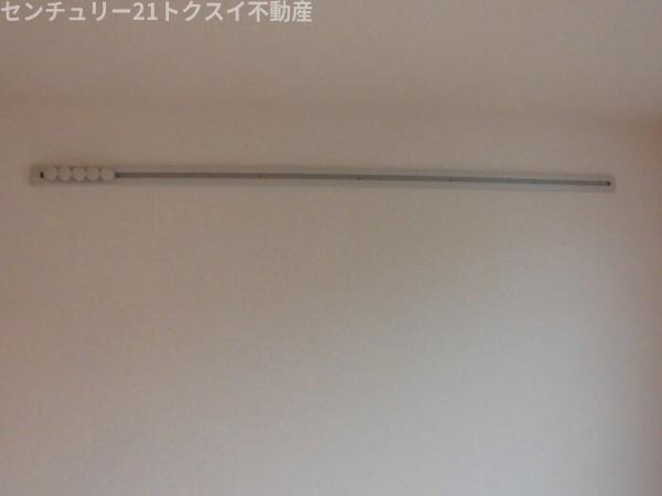アムール