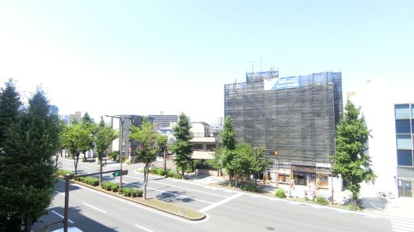 サニークレイン