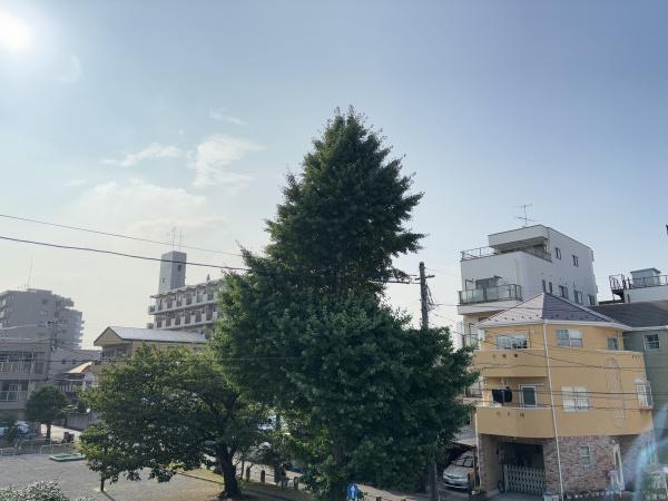 St.Residence（セント・レジデンス）