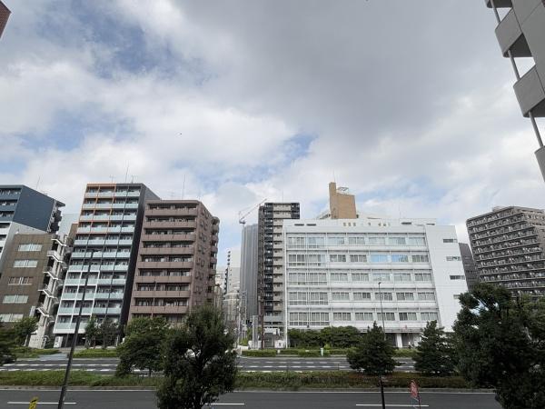 シャンボール第1川崎