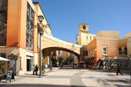 ルネ川崎(LacittaDella)