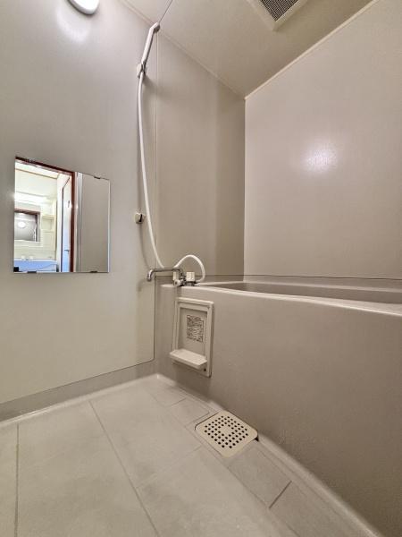 ヴェルドミール