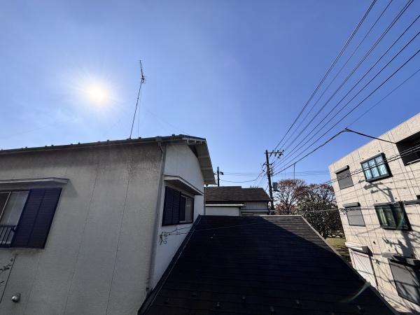 ヴェルドミール