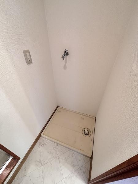 ヴェルドミール