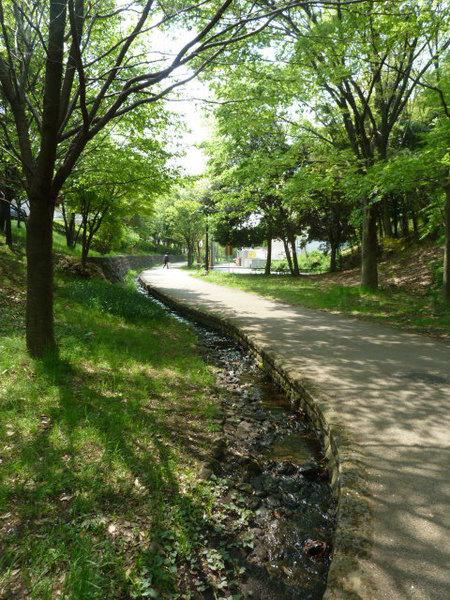 スタジオ・シェル(その他)