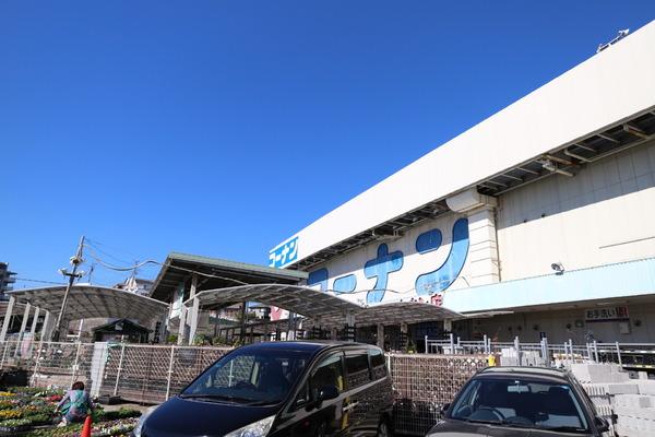 バイオレットヒルズ(ホームセンターコーナン港北ニュータウン店)
