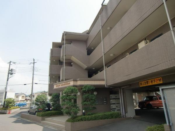 Liverpool南市川