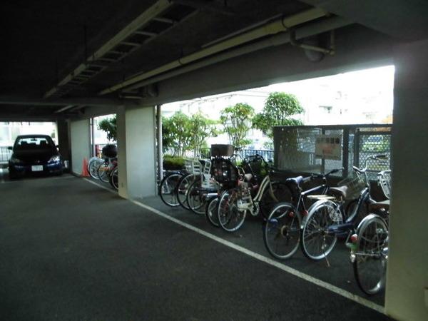 Liverpool南市川