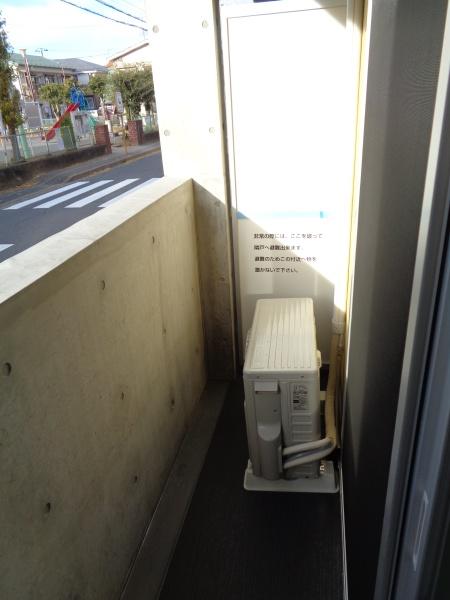 ミモザ