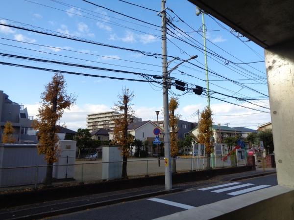 ミモザ