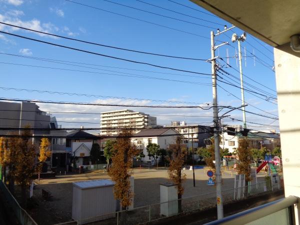 ミモザ