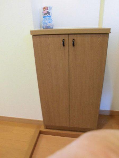 ライトコート