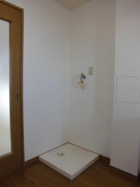 フォークウェイズ原木