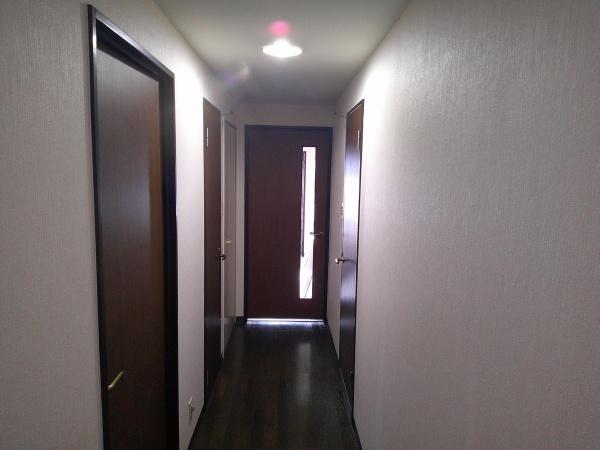 ライネスハイム南市川