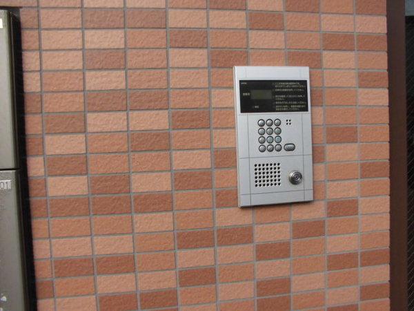 フォークウェイズ原木