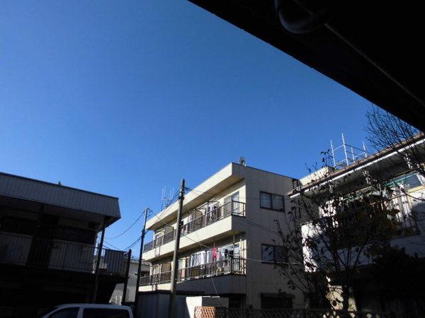 フォークウェイズ原木