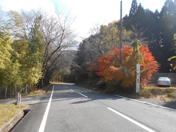 山辺郡山添村大字片平の貸地