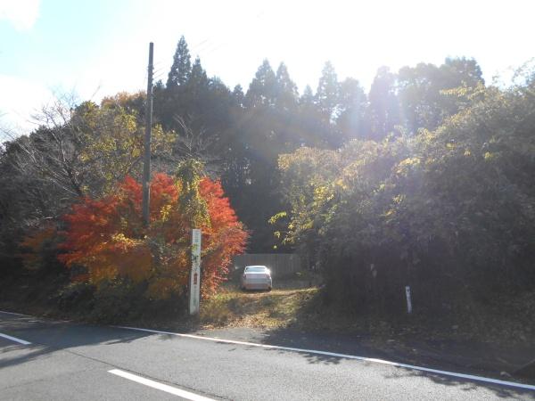 山添村スケボー施設