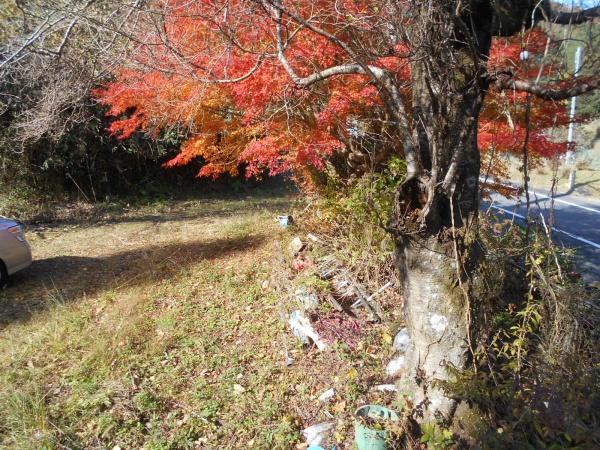 山辺郡山添村大字片平の貸地