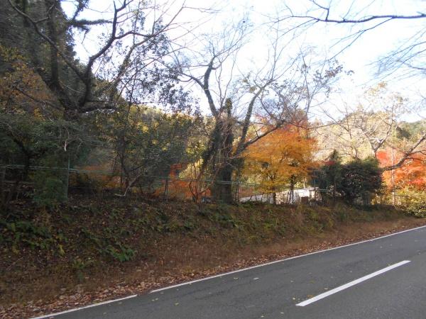 山辺郡山添村大字片平の貸地