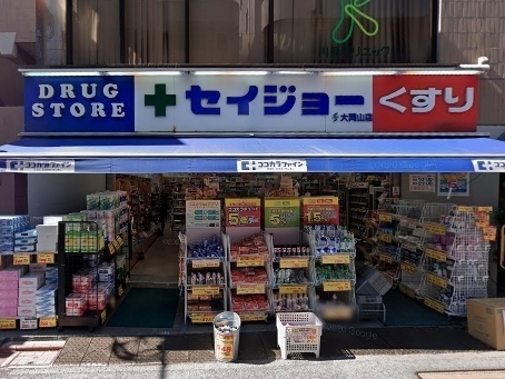 ＲＩＤＧＥ(くすりセイジョー大岡山店)