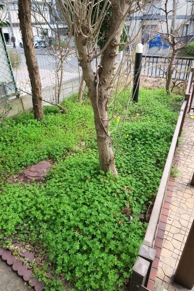 小池邸（コイケテイ）
