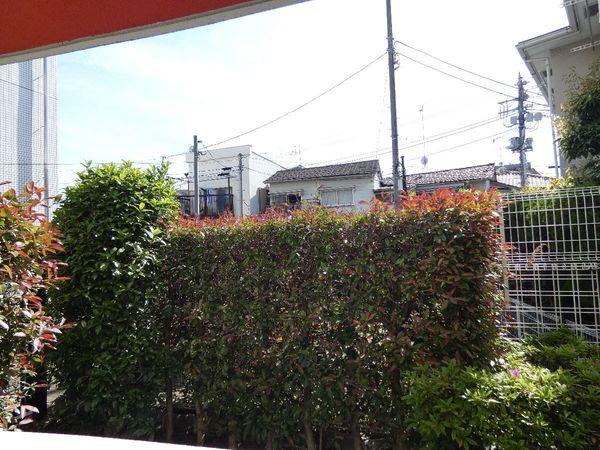 Ｇカレント