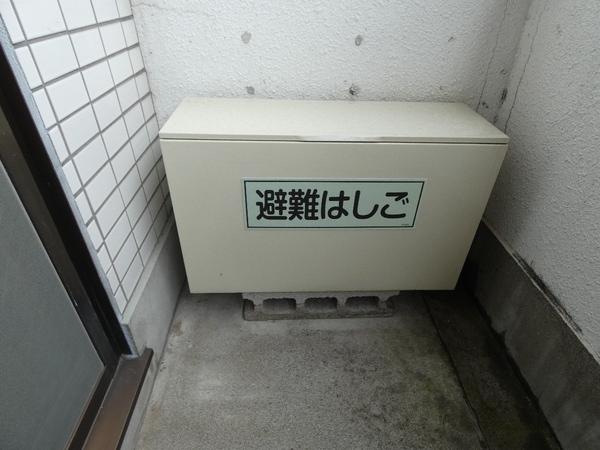 ローラ中央