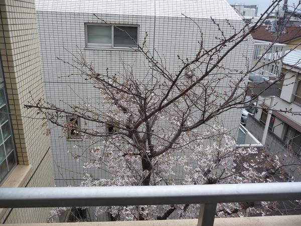 グランドメゾン長原