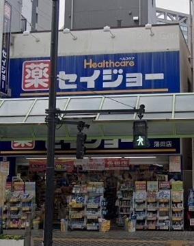 APEX蒲田(くすりセイジョー蒲田店)